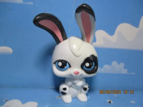 Petshop lapin garenne - petshop, de