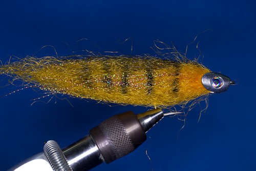 Fishskull streamer pour - streamer,