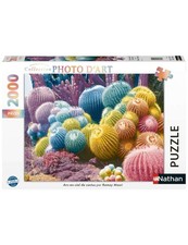 Puzzle 2000 p Arc-en-Ciel de