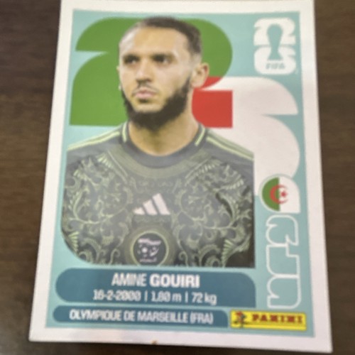 Panini world cup - panini, amine