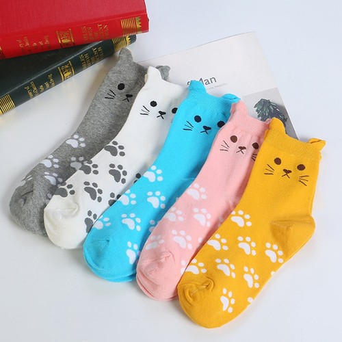 Paires chaussettes - paires, de