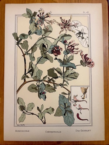 Eugène grasset - eugène,