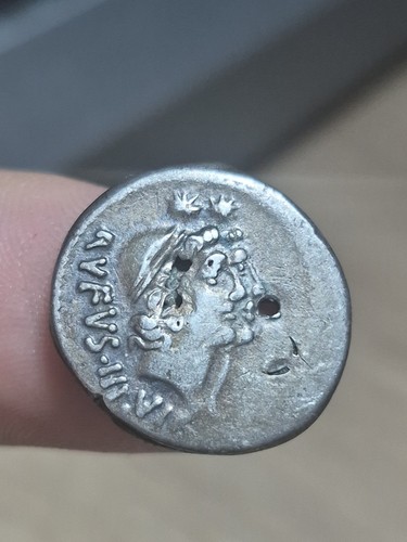 244 cordius rufus denier - rufus,