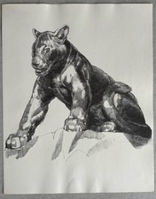 Paul JOUVE Gravure Animalière