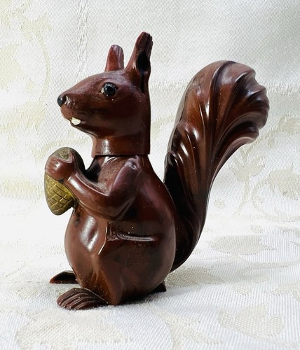 Squirrel eichhorn ecureuil - eichhorn,