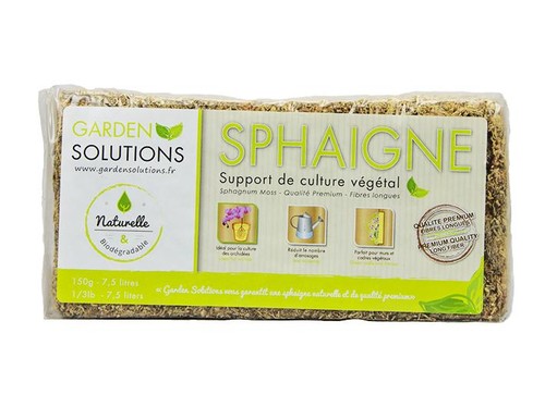 Sphaigne chilienne fibres - chilienne,