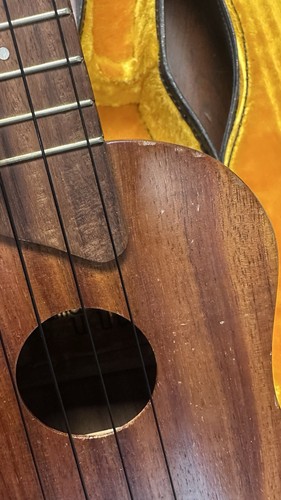 Kamaka ukulele gold - label, 4