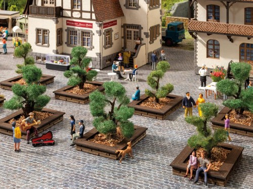Noch 12x arbres - noch,