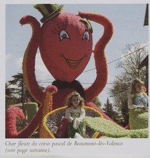 2006  -  CHAR FLEURI DU CORSO