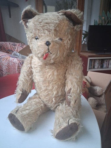 Tres bel ours peluche - bel,