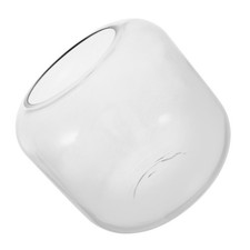  Plante ronde plante terrarium