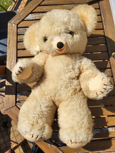 Ours ancien peluche - ours,