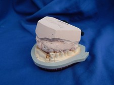 CURIOSITE / Curiosity - MODELE