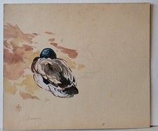Joseph CABASSON (1841-1920) Le Canard  aquarelle originale