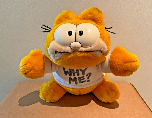 Garfield why plush - “why, me?”