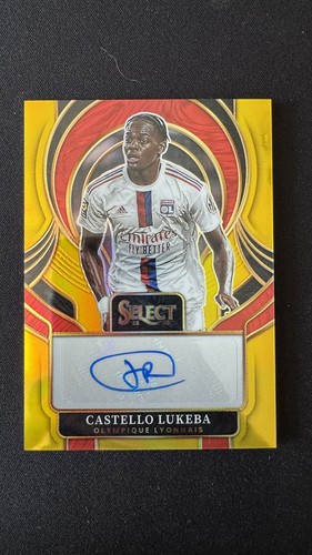 Lukeba auto panini - /10,