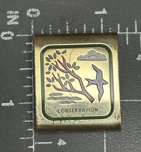 Conservation ceinture boucle - conservation,