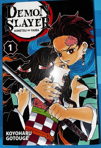 Demon slayer kimetsu yaiba - slayer,