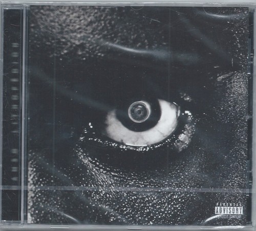 Damso lithopédion - -,