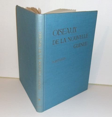 Oiseaux nouvelle guinée - oiseaux,
