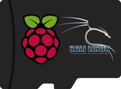 Kali linux for raspberry - linux,