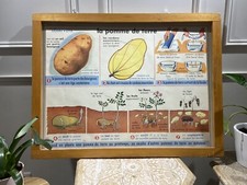 Carte Affiche Scolaire MDI 