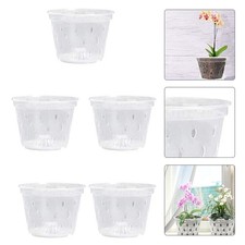Pack de 5 pots d'orchidées en