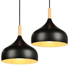Lot de 2 Lustre Suspension