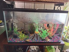 fish tank decorations and
