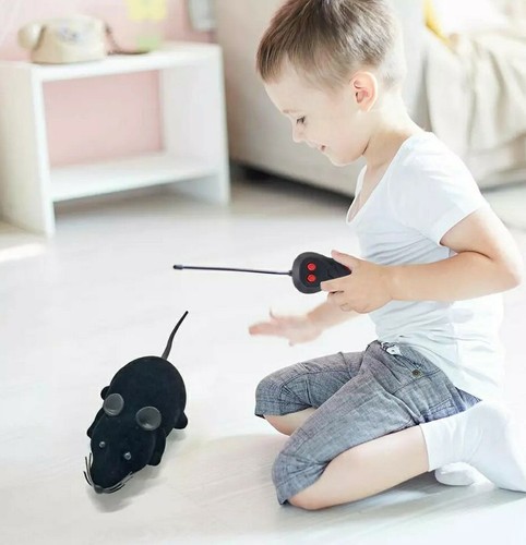 Souris télécommandée jouet - télécommandée,