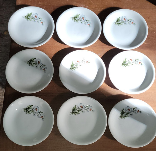 Assiettes plates céramique - 9,