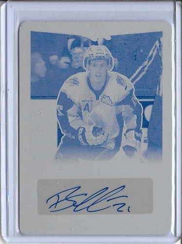 2015 leaf metal brett - 2015/16,