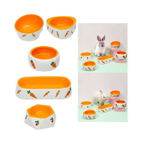 Bol mangeoire pour lapin bol