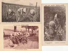 Lot 3 CPA Nuits St Georges