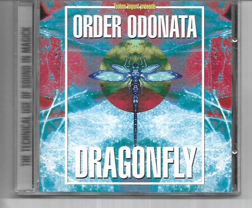 Dragonfly order odonata - dragonfly,