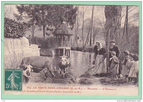 Ferte sous jouarre - 77,
