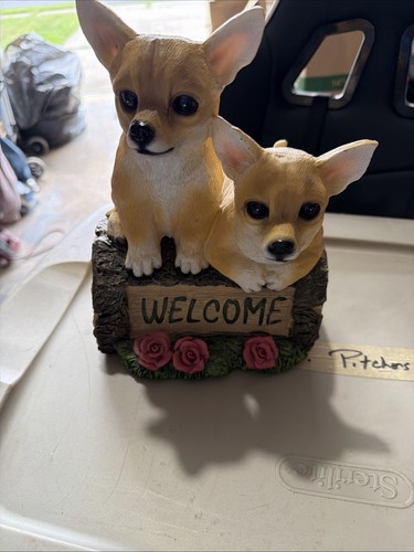 Cute chihuahua dog welcome - chihuahua,