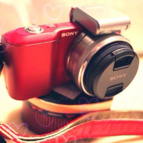 Appareil photo sans - , miroir