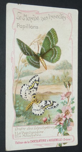 Chromo 1900 1920 chocolat - chromo,