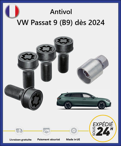 Ecrous antivol roues noir - ecrous,
