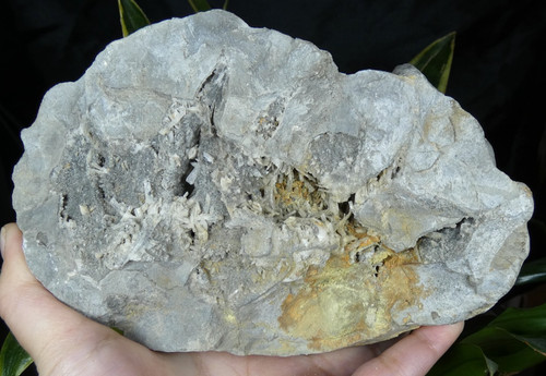 Xxl septaria cristaux - xxl,