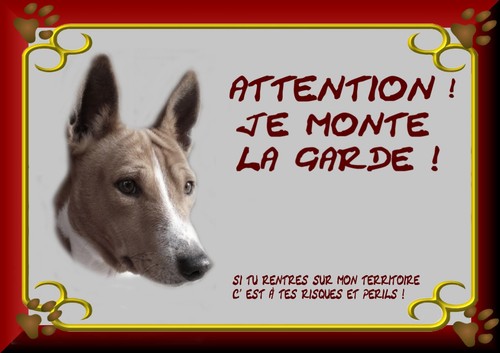 Plaque garde basenji - garde,