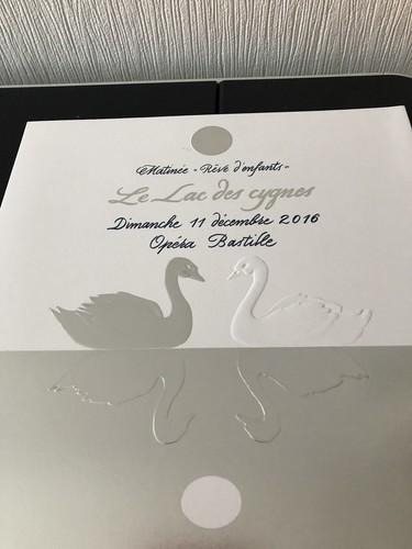 Programme lac des cygnes - lac,