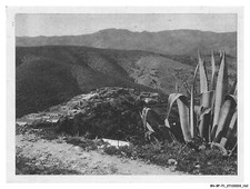 BN-BFP1-0082-MILITARIA - nedroma - département d'oran