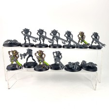 x13 Guerriers + Scarabés