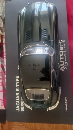 Jaguar type autoart - jaguar, e