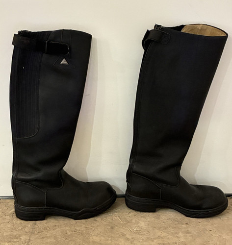 Mountain horse rimfrost 8 - horse,