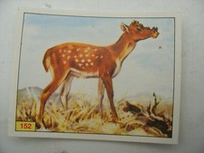 Stikers album PANINI 1992 immage Animaux Prehistorique Prehistoric Vignette #152