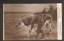 FILLETTE & BOVIN "CONDUITE A