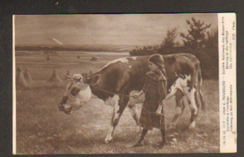 Fillette bovin conduite - fillette, "conduite